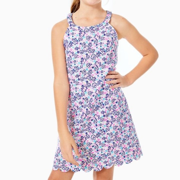 Lilly Pulitzer Dress - Picture 1 of 12